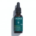 CAUDALIE VINERGETIC C+ ACEITE DE NOCHE DETOX