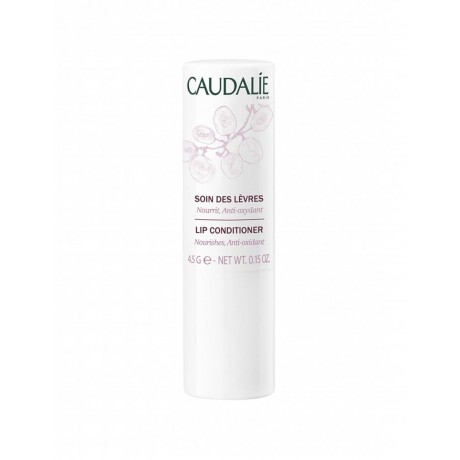 CAUDALIE STICK LABIOS