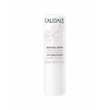 CAUDALIE STICK LABIOS